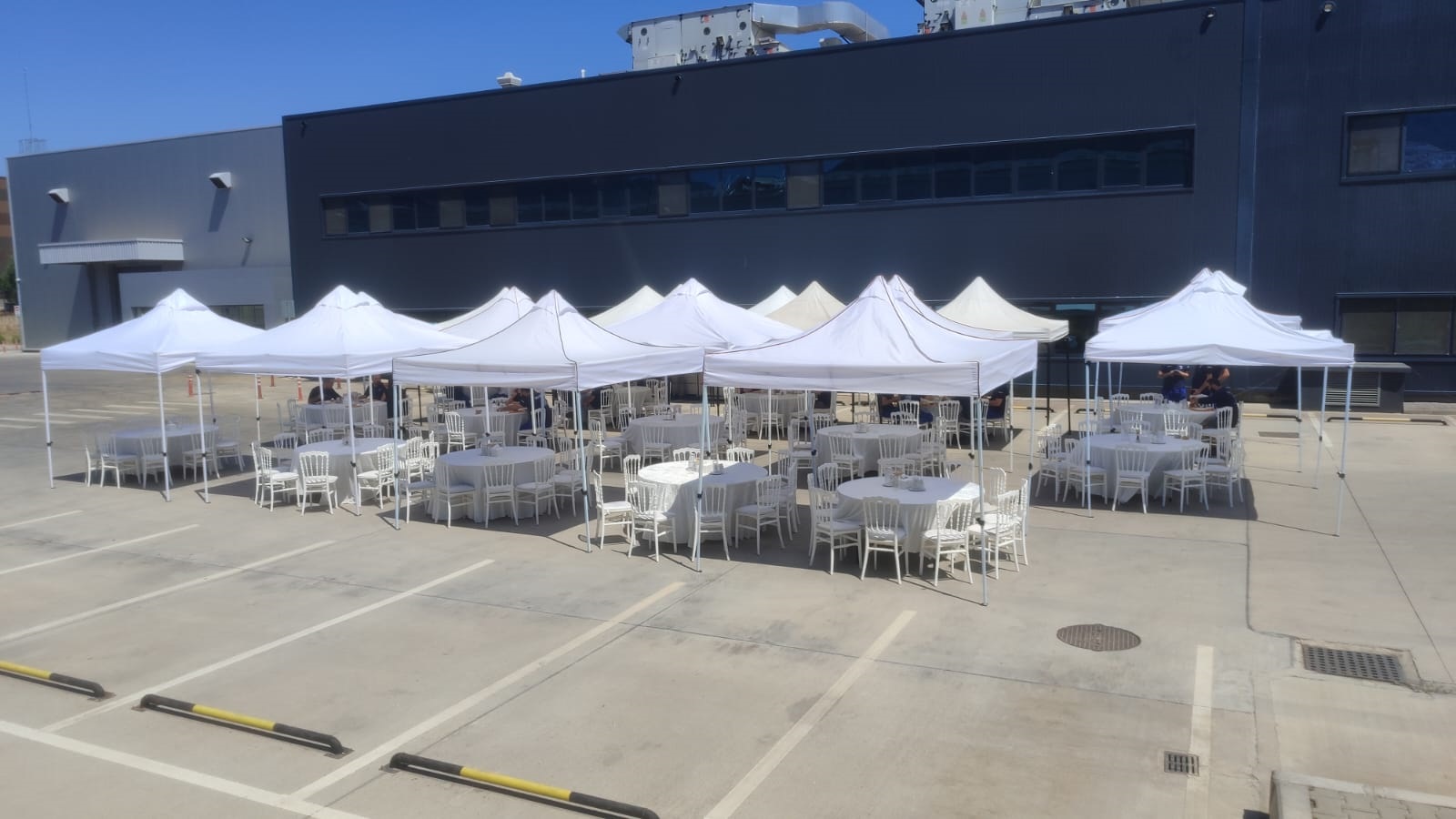 Piknik Organizasyonu Profesyonel Catering